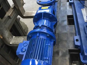 Eccentric worm drive pump