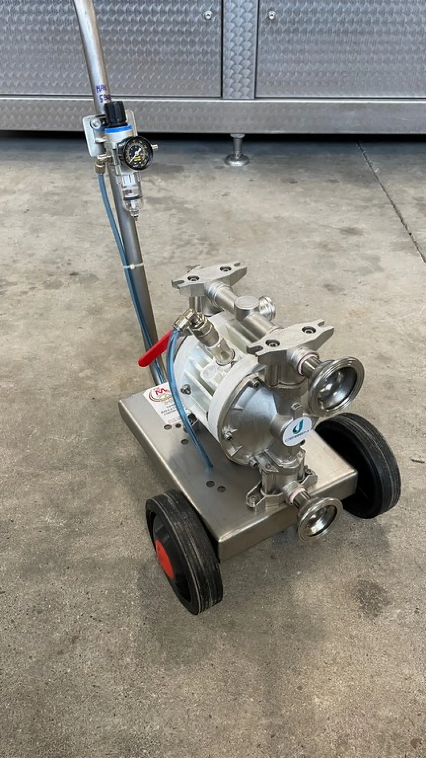 PNEUMATIC DOUBLE DIAPHRAGM PUMPS POWERED BY COMPRESSED AIR, SELF-PRIMING, ENTIRELY IN AISI 316 STAINLESS STEEL, NEW MACHINES - 3