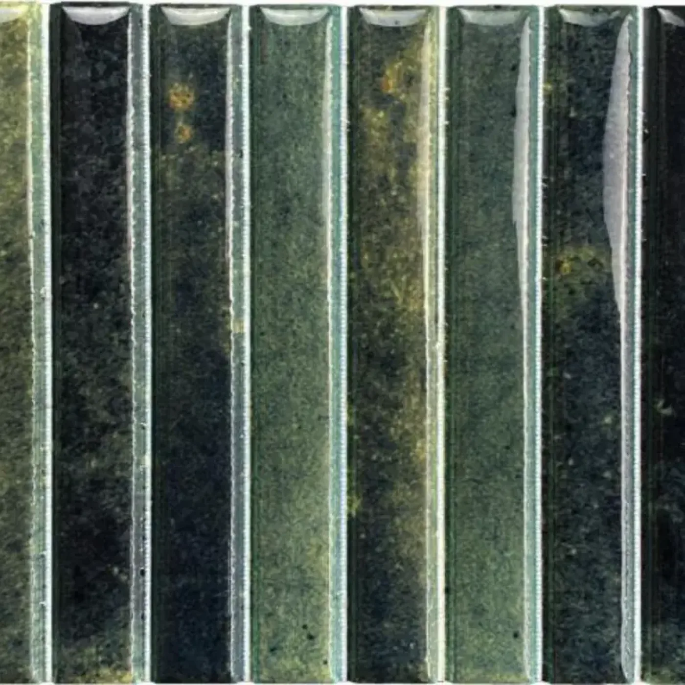 Pencile 10MM Grass decor tegel 23.1x11.5 cm - 1