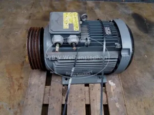 Electric motor