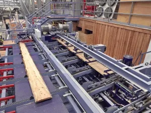 PRIMULTINI edging line DRC