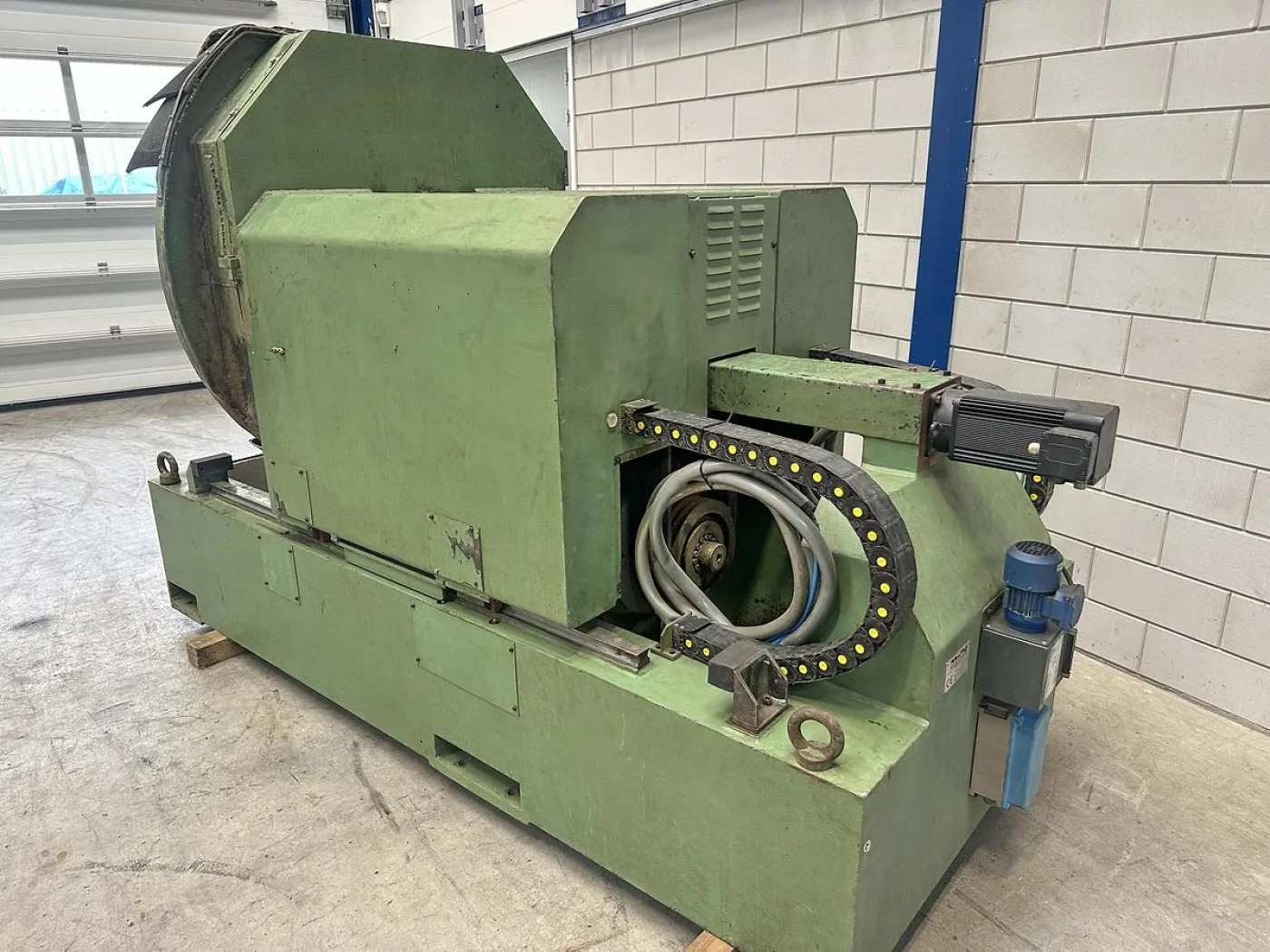 Primultini WSA - 4