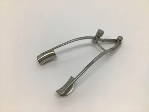 Lang Adult