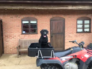 ATV, QUAD BIKE REAR BOX, FRONT BOX, DOG BOX, UNIVERSAL QUAD BOX Q4
