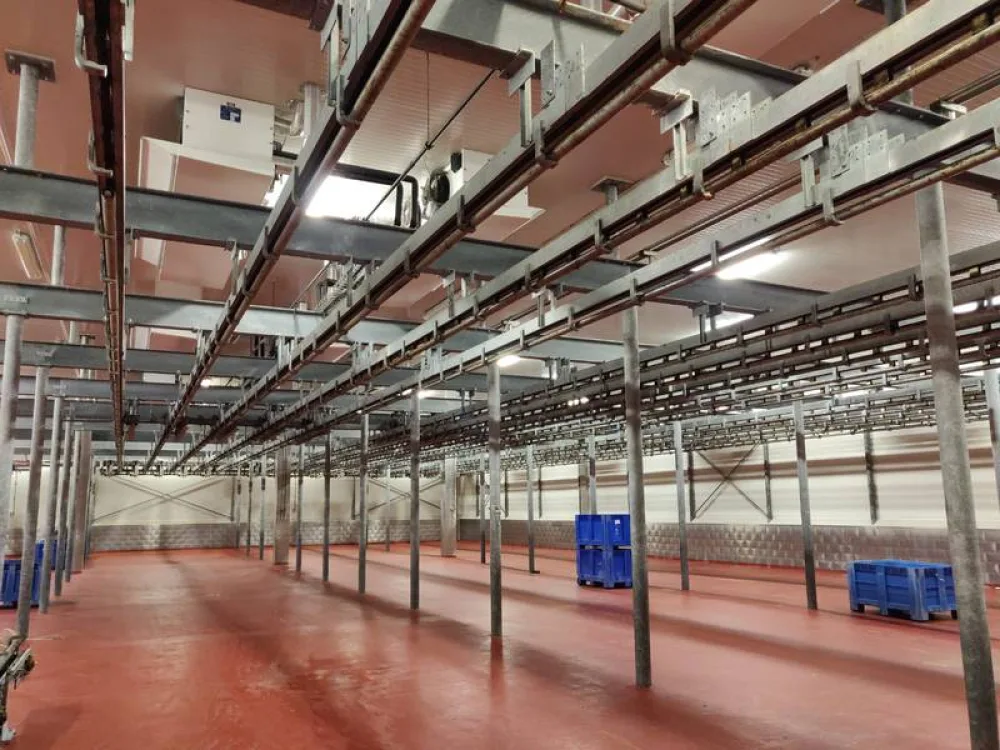 Automatic cold store conveyor and rail system