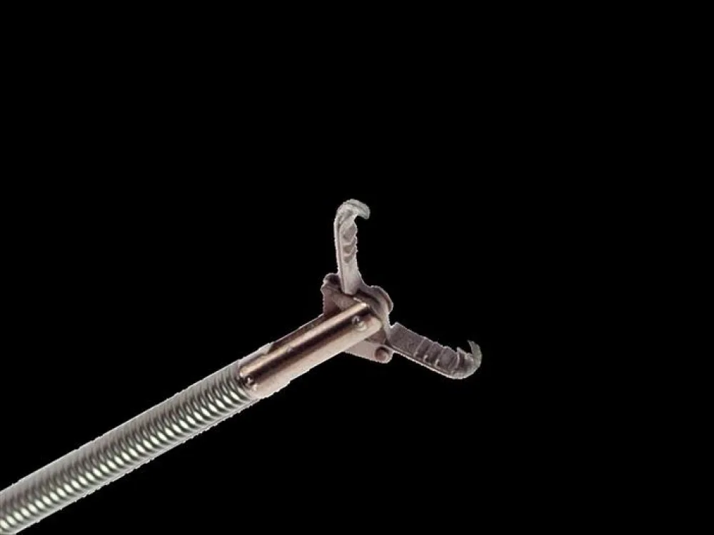 rat tooth alligator grasping forcep 1600 X 1.8 mm