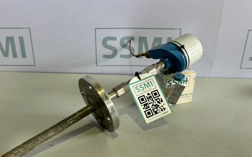 2022 Endress+Hauser Industriel temperature sensor