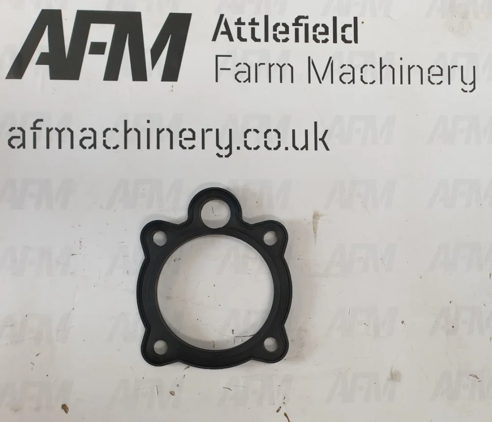 Spearhead Filter Hyd Oil Head Gasket - 3900080.06