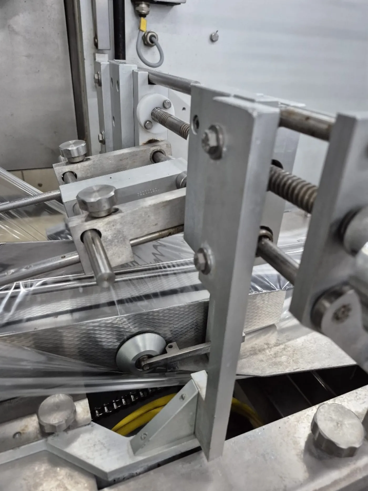 Ilapak Delta 3000 Flow Wrapper - 4