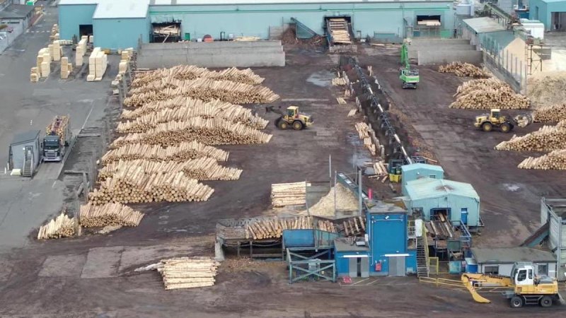USNR sawmill + sorting