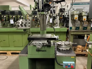 022889 - FEHLMANN P 18 S