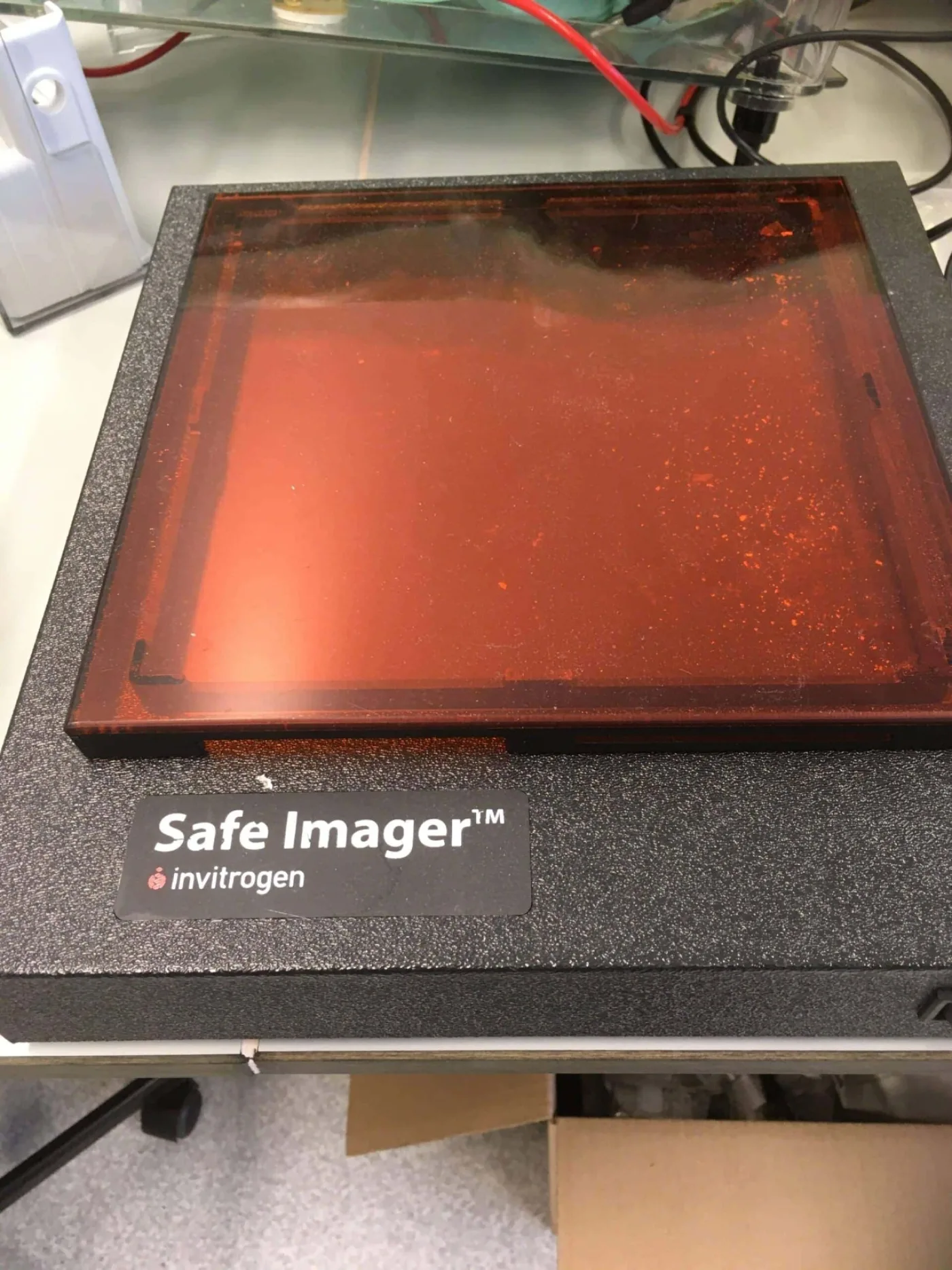 Invitrogen S37102 Safe Imager - 1