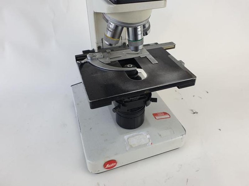 Leitz 020-435.028 Microscope Microscope