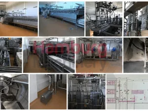 Gouda Euroblock Cheese Plant for 100.000 liter of milk per day - 10.000 kg of Gouda cheese per day