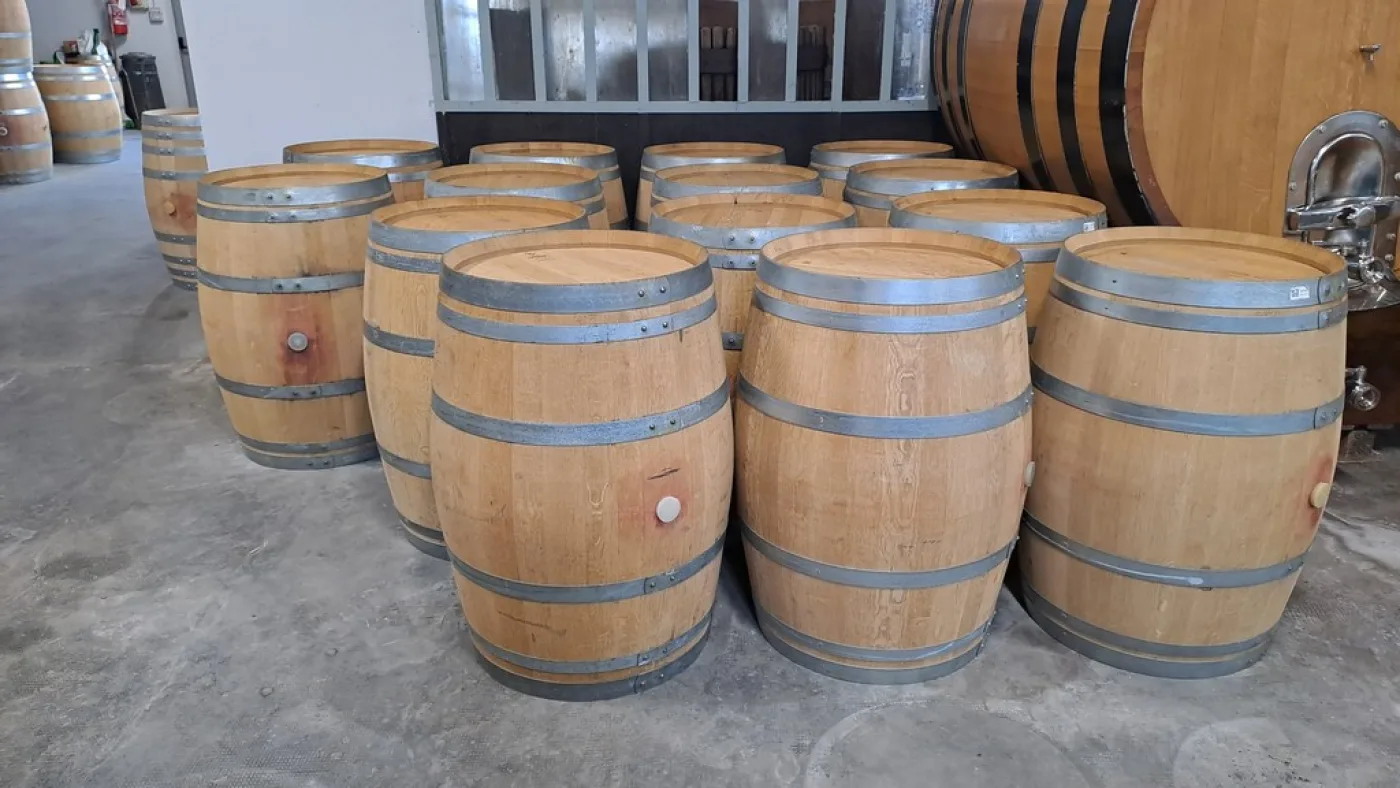 BARRELS IN OAK WOOD CAPACITY LITERS 225/228 OF THIRD-USE USED FOR RED WINE SECOND-HAND EQUIPMENT - 1