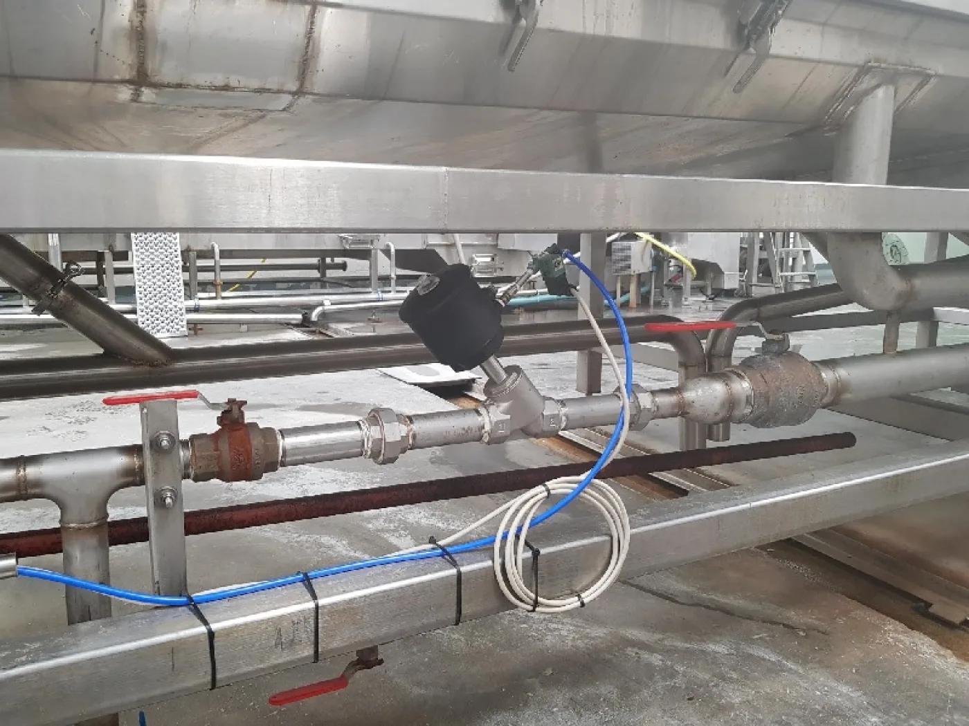 CMP Continuous Cooker - 4