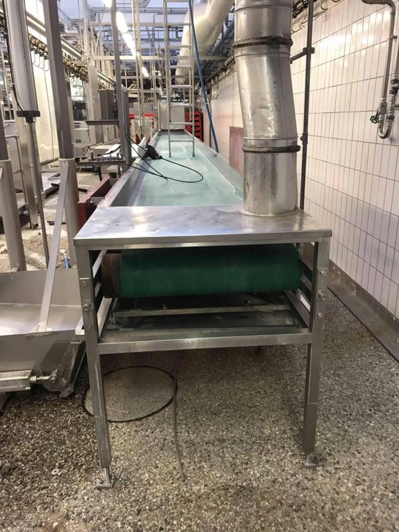 Paunch conveyor belt - 2