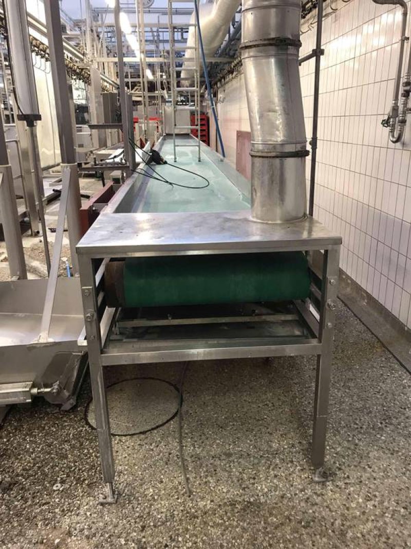 Paunch conveyor belt