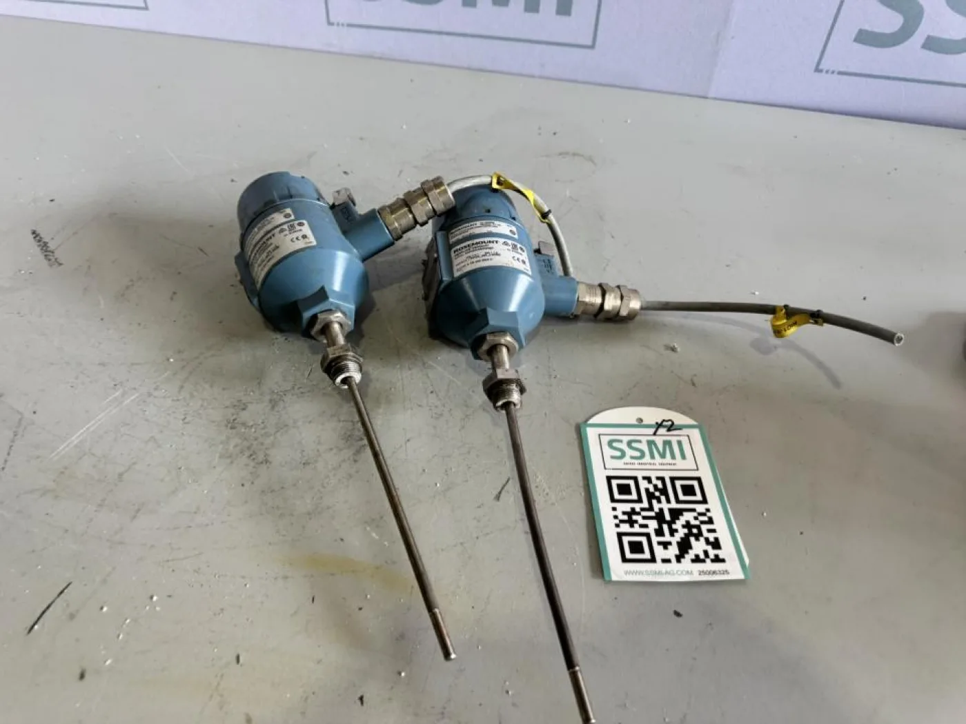 2021 Rosemount Temperature transmitter (2x) - 1