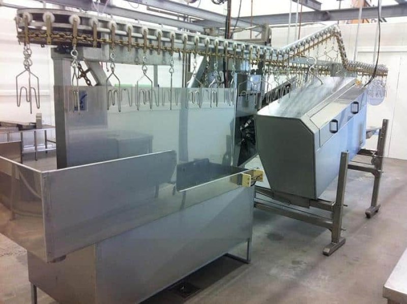Poultry line conveyor, 180 bph
