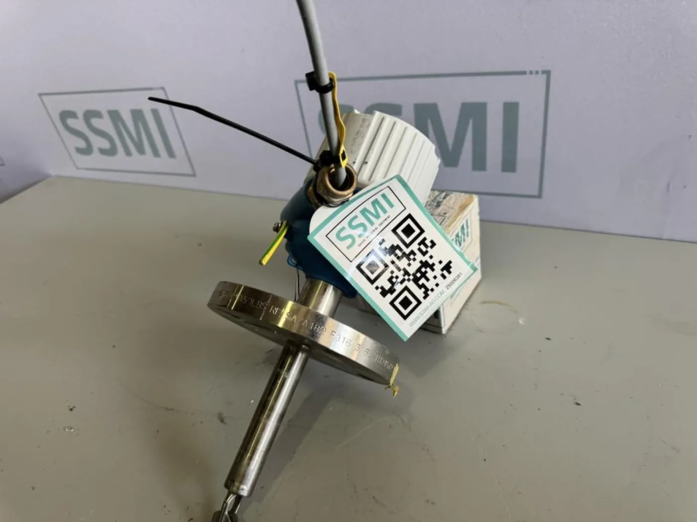 2020 Endress+Hauser Vibrating fork level switch - 2