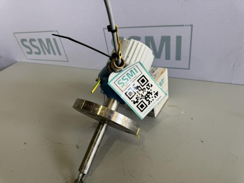 2020 Endress+Hauser Vibrating fork level switch