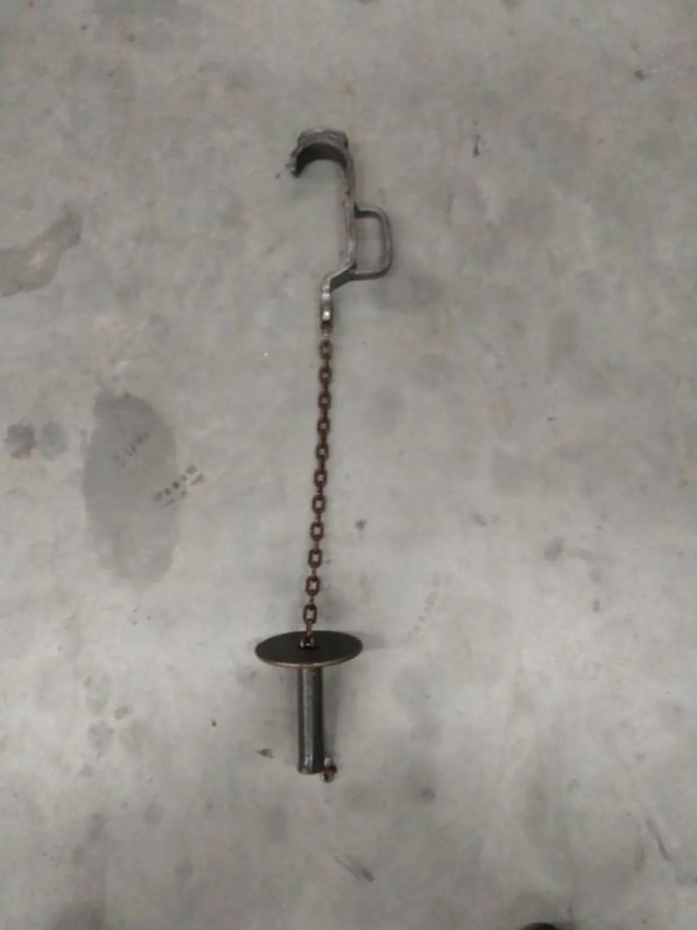 Bleeding hooks pigs - 1