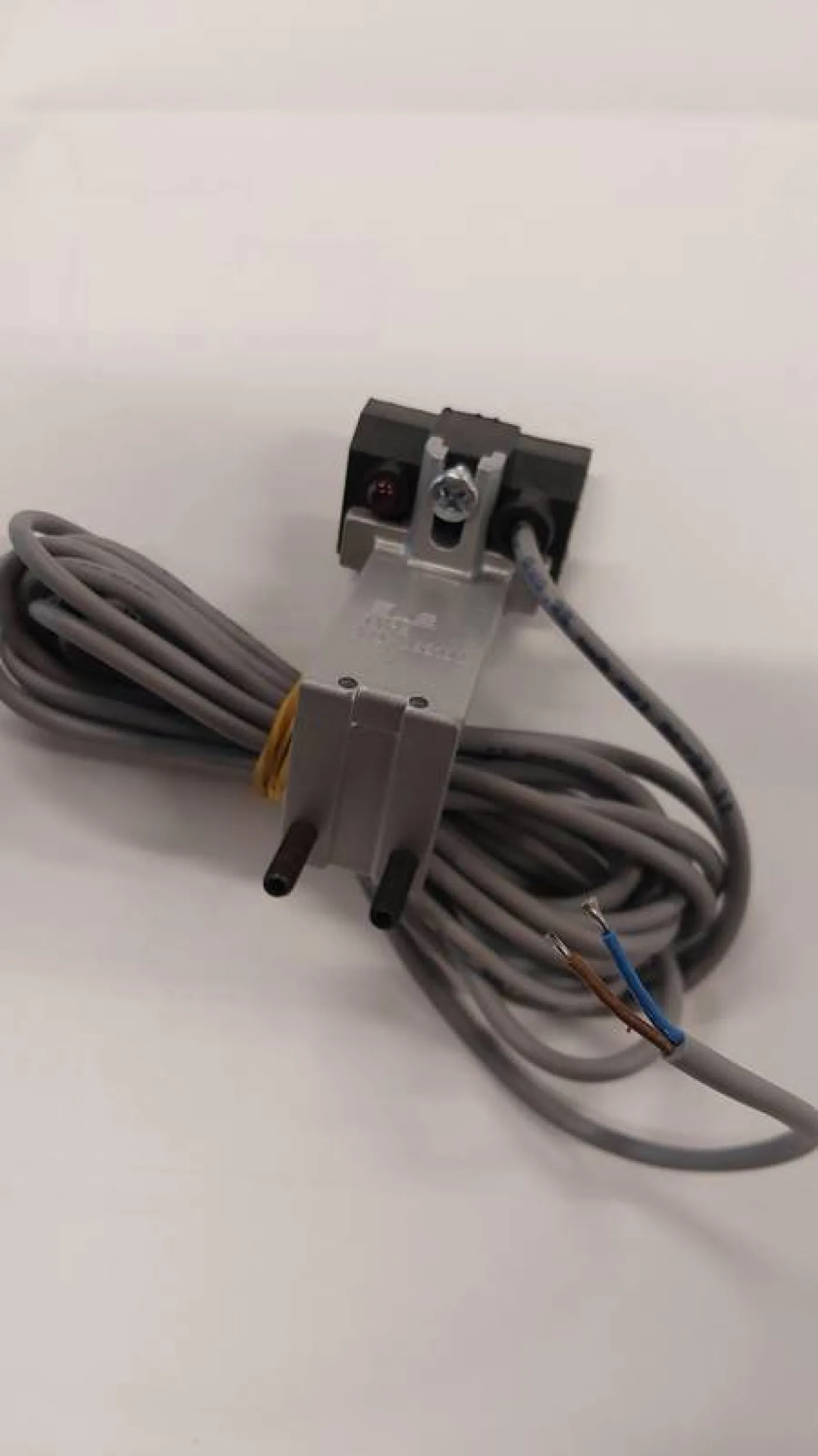 Magnetic proximity switch - 1