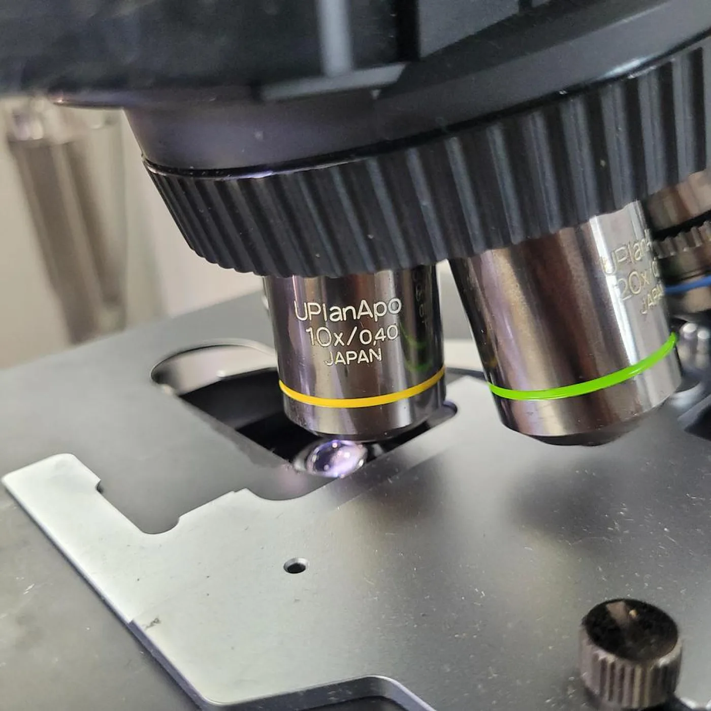 Olympus BX51TF Microscope - 4