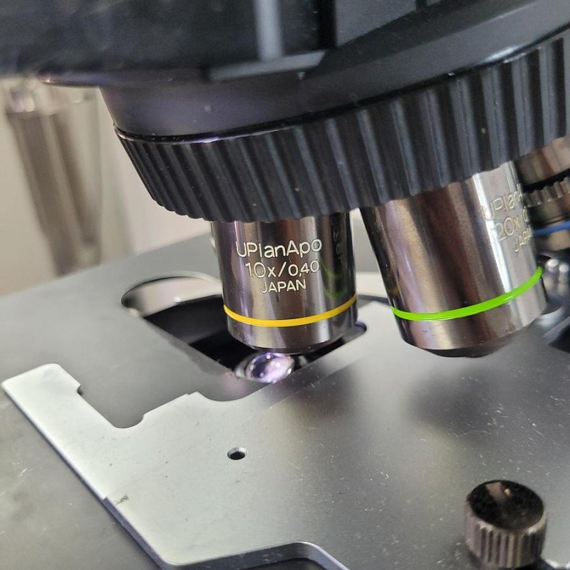 Olympus BX51TF Microscope
