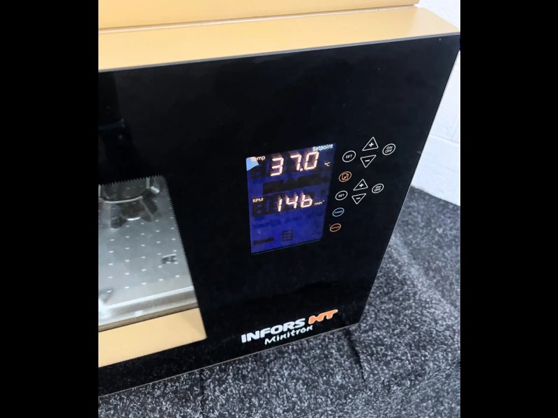 Infors HT Minitron Incubation Shaker