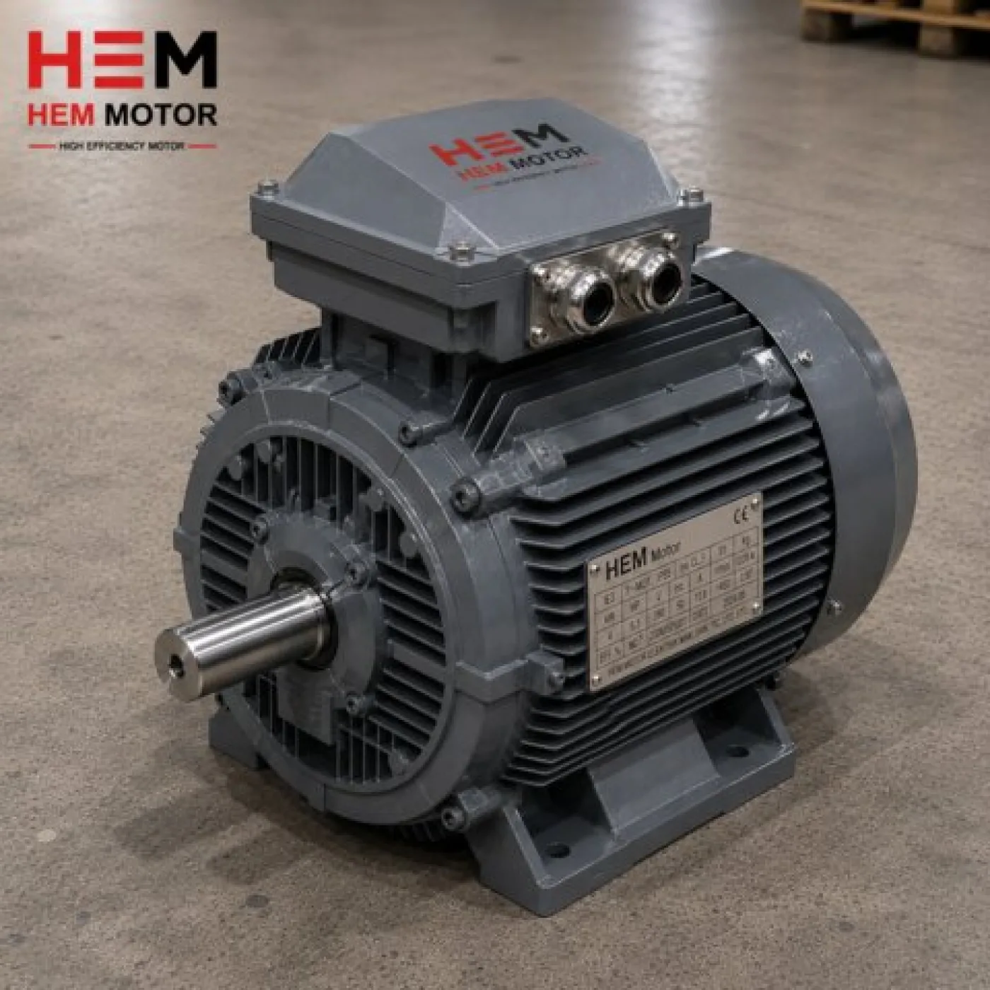 HVAC Sector Electric Motors - 2