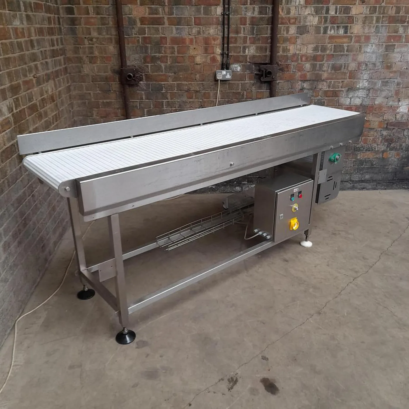 Cryovac Straight Conveyor - 2