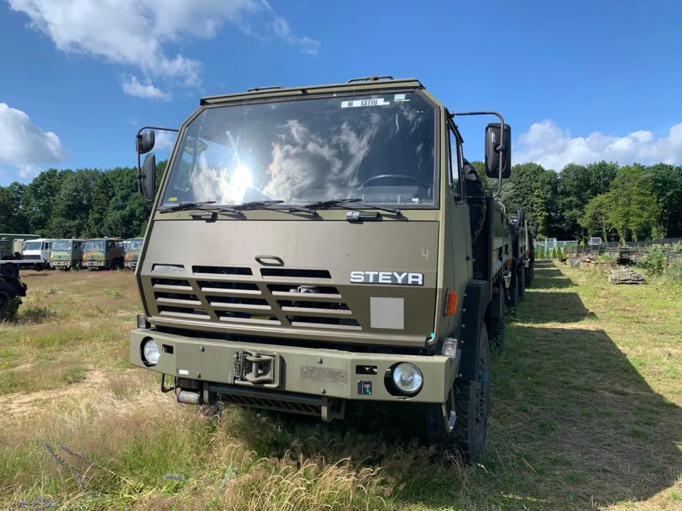 Steyr 1491.310/S37 4x4 Cargo - 3