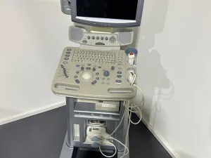 GE Logiq P5 Ultraschallgerät (s/w)