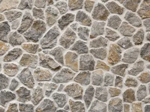 Rock Wall Akira