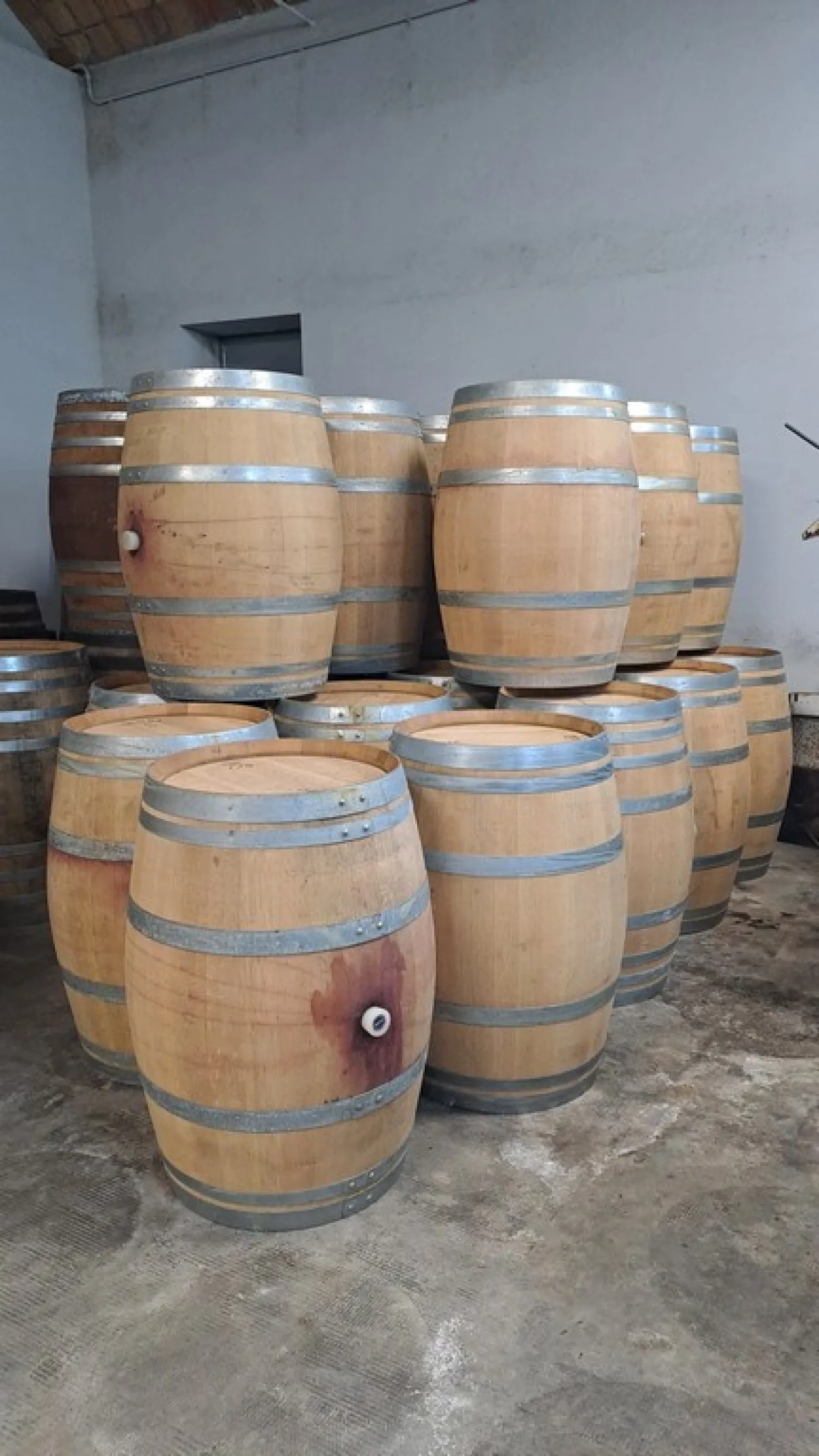 BARRELS CAPACITY LITERS 225/228 OF SECOND-USE USED FOR RED WINE, SECOND-HAND EQUIPMENT - 4