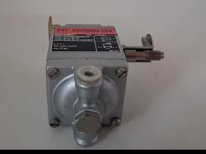 Eckardt Type 6191901 Asym Relay