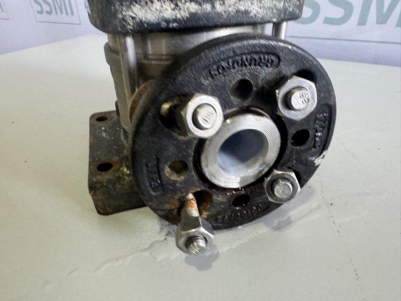 Grundfos Vertical Multistage Centrifugal Pump