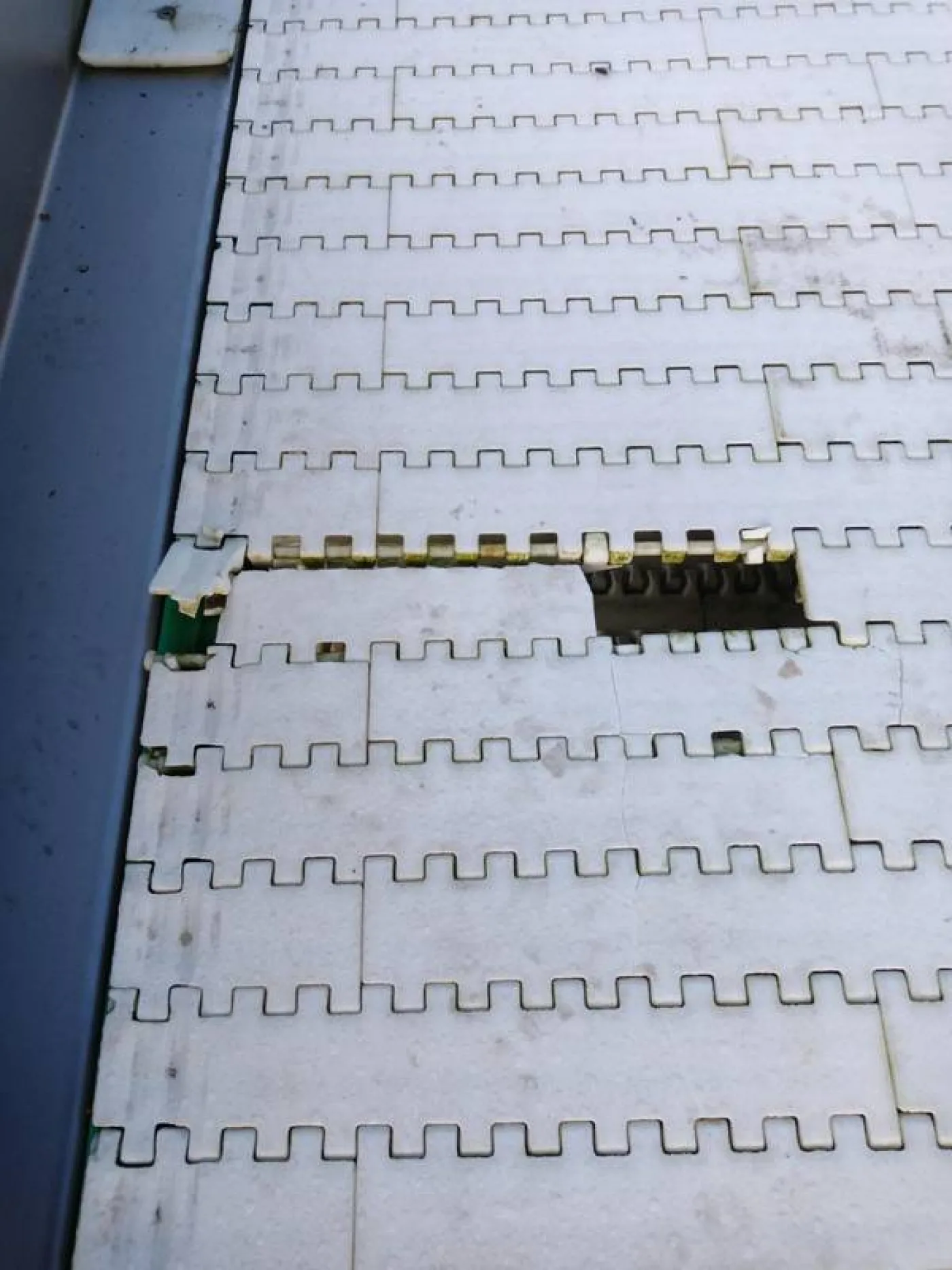 Conveyor belt - 6