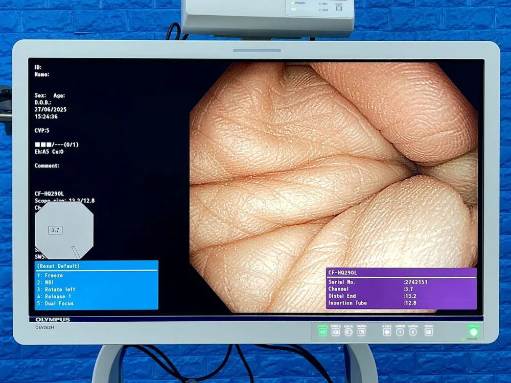 Olympus CF-HQ290L Colonoscope