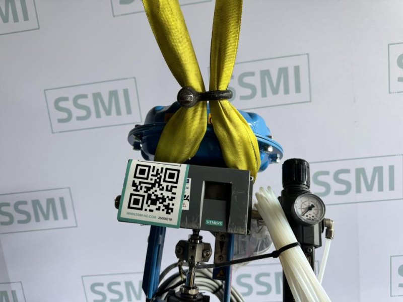 2024 ARCA / Siemens Pneumatic control valve with positioner