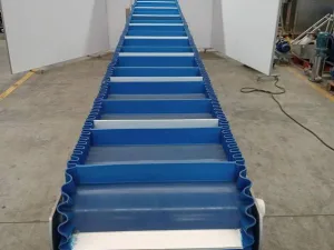Paunch conveyor
