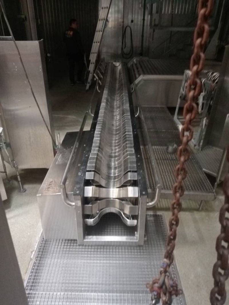 Cattle pre-dehiding belt