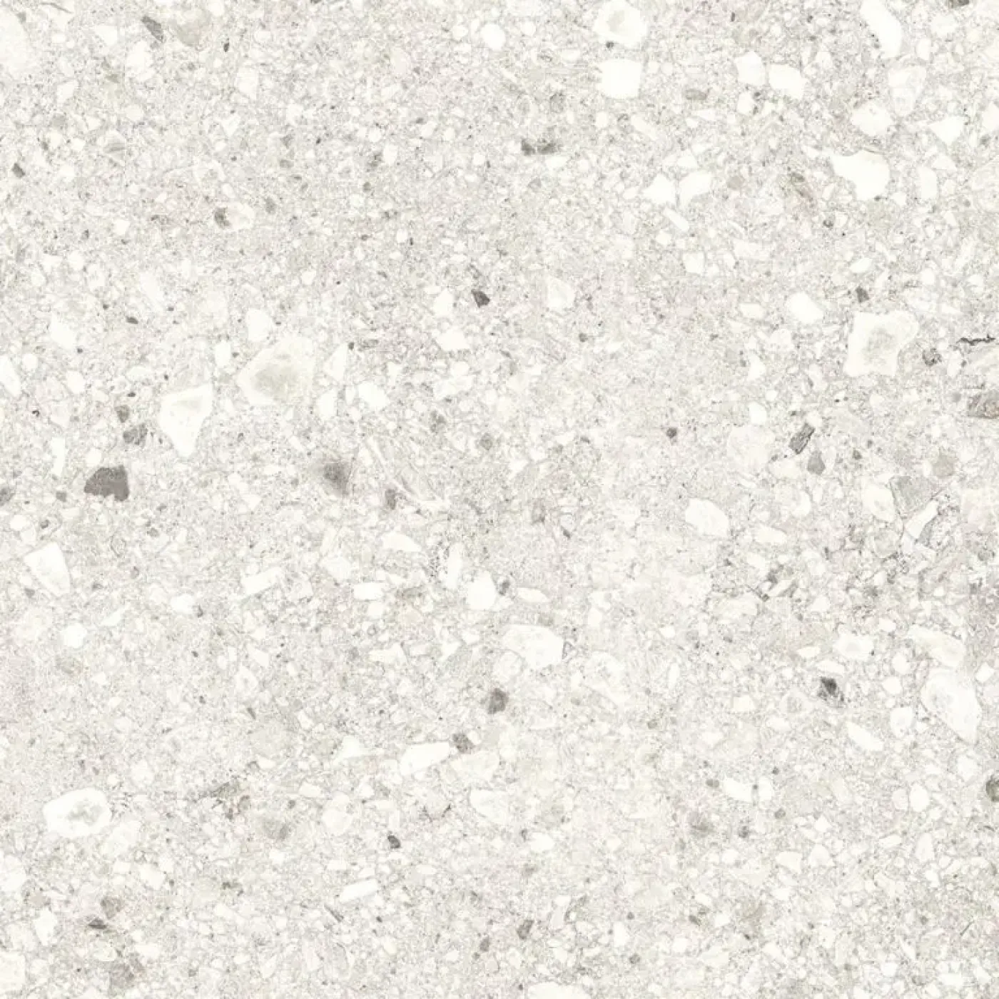 Ceppa 20MM White tegel 60x60x2 cm - 1