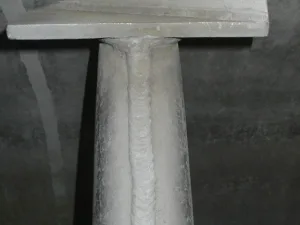 Vevey 4000 Ltr - Paddle dryer