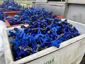 Poultry line, Linco, 6.000 bph