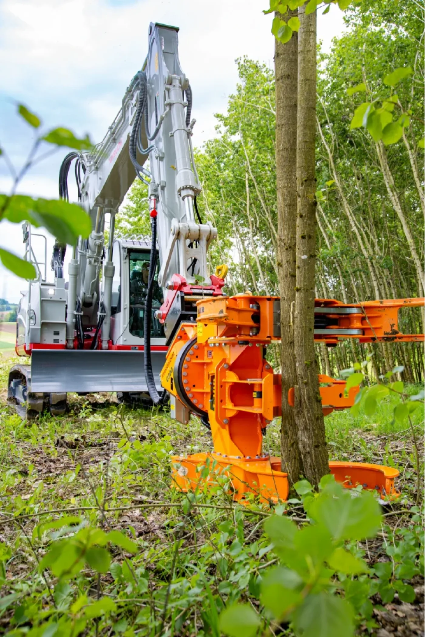 Westtech - Woodcracker C 300 - 5