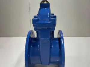 Valve