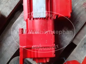 Electric motor